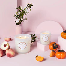 Load image into Gallery viewer, Saijo Persimmon Classic Candle
